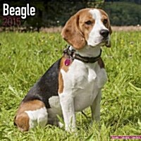 Beagle 2015