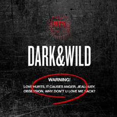 방탄소년단 (BTS) Dark & Wild: 1st Full-lenghth album. [4]