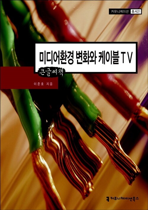 미디어환경 변화와 케이블 TV (큰글씨책)