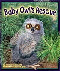 Baby Owls Rescue (Paperback)