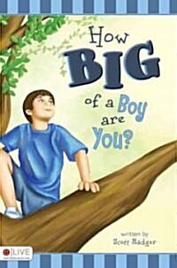 How Big of a Boy Are You? (Paperback)