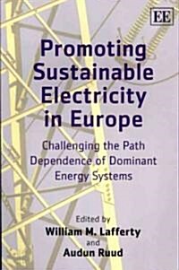 Promoting Sustainable Electricity in Europe : Challenging the Path Dependence of Dominant Energy Systems (Paperback)