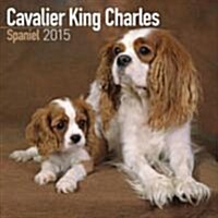 Cavalier King Charles Spaniel 2015
