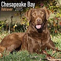 Chesapeake Bay Retriever 2015