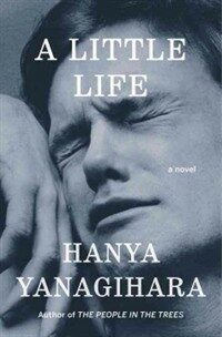 A Little Life (Hardcover)