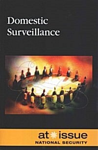 Domestic Surveillance (Paperback)