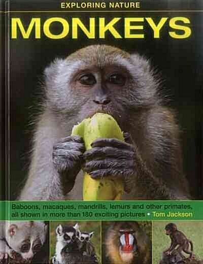 Exploring Nature: Monkeys (Hardcover)