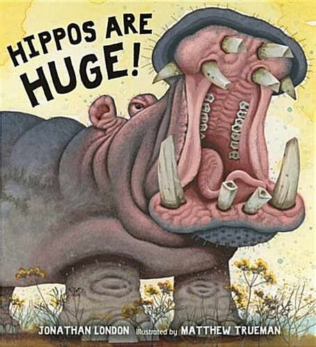 Hippos Are Huge! (Hardcover)