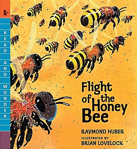 Flight of the Honey Bee: Read and Wonder (Paperback)