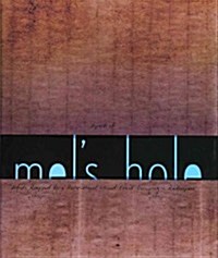 Aspects of Mels Hole: Artists Respond to a Paranormal Land Event Occurring in Radiospace (Hardcover)