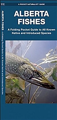 Alberta Fishes: A Folding Guide to All Known Native and Introduced Species (Other)