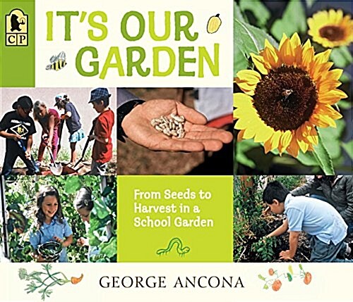 Its Our Garden: From Seeds to Harvest in a School Garden (Paperback)