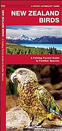 New Zealand Birds: A Folding Pocket Guide to Familiar Species (Paperback)