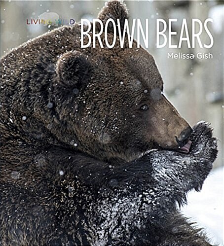 Living Wild: Brown Bears (Paperback)