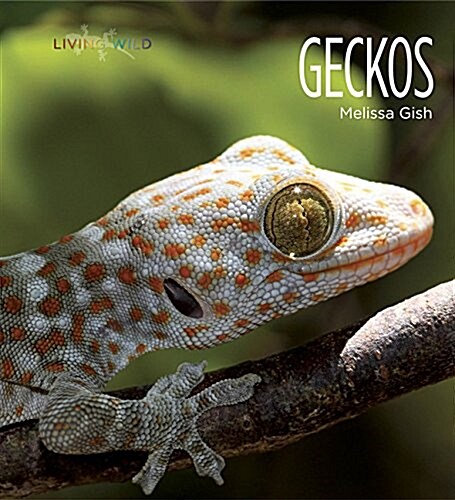 Living Wild: Geckos (Paperback)