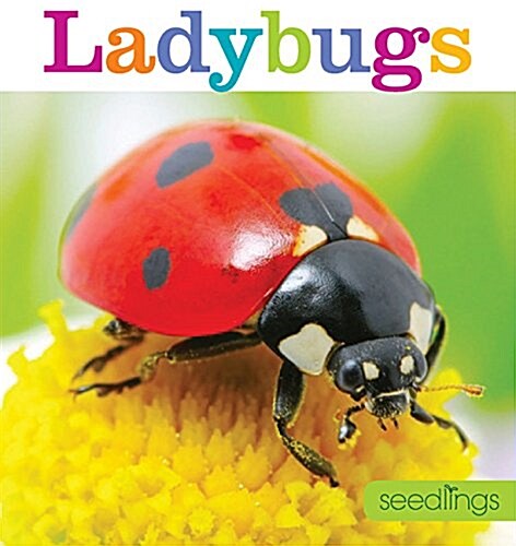 Seedlings: Ladybugs (Paperback)