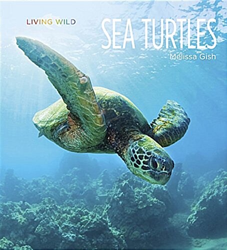 Living Wild: Sea Turtles (Paperback)