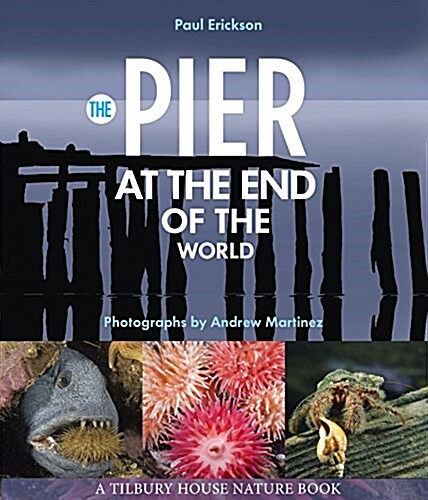 The Pier at the End of the World (Hardcover)