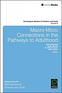 Macro-Micro Connections in the Pathways to Adulthood (Paperback)