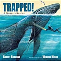 Trapped! a Whales Rescue (Hardcover)