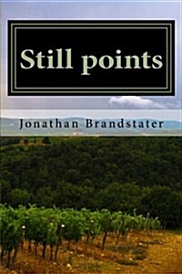 Still Points: Photo Essays by Jonathan Brandstater (Paperback)