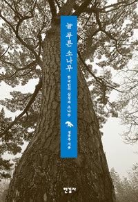 늘 푸른 소나무 =한국인의 심성과 소나무 /(A) scene of pine tree standing 