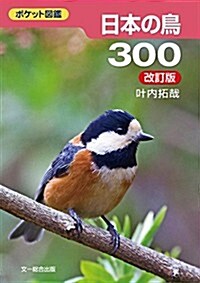 日本の鳥300 改訂版 (ポケット圖鑑) (改訂, 文庫)