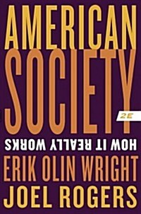 American Society: How It Really Works (Paperback, 2)