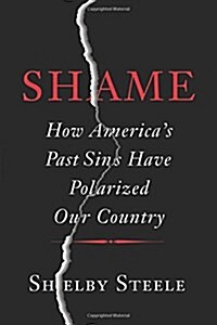 Shame: How Americas Past Sins Have Polarized Our Country (Hardcover)