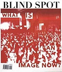 Blind Spot, Issue 48 (Paperback)