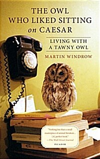 The Owl Who Liked Sitting on Caesar: Living with a Tawny Owl (Paperback)