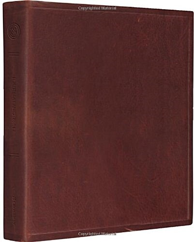 Journaling Bible-ESV (Leather)