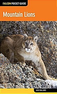 Mountain Lions (Paperback)