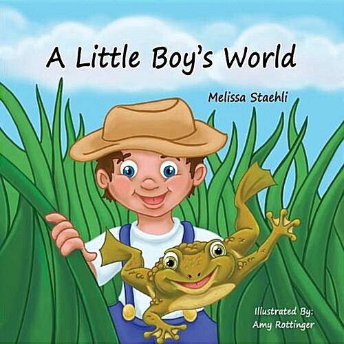 A Little Boys World (Paperback)