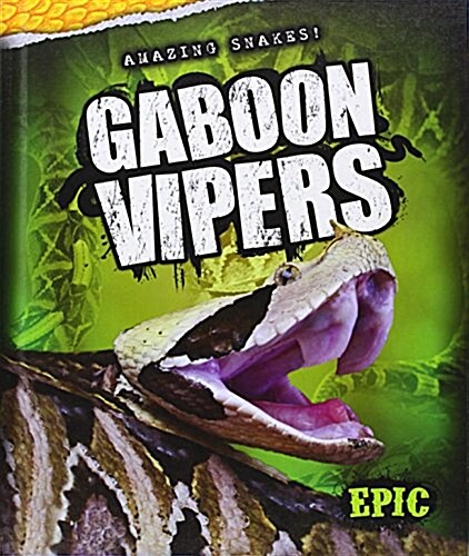 Gaboon Vipers (Library Binding)