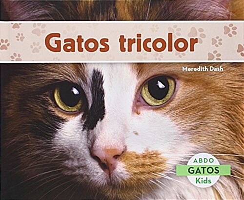 Gatos (Cats Set 1) (Set) (Hardcover)