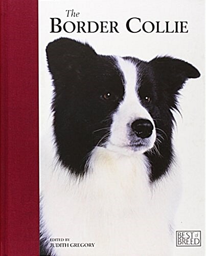 Border Collie (Hardcover)