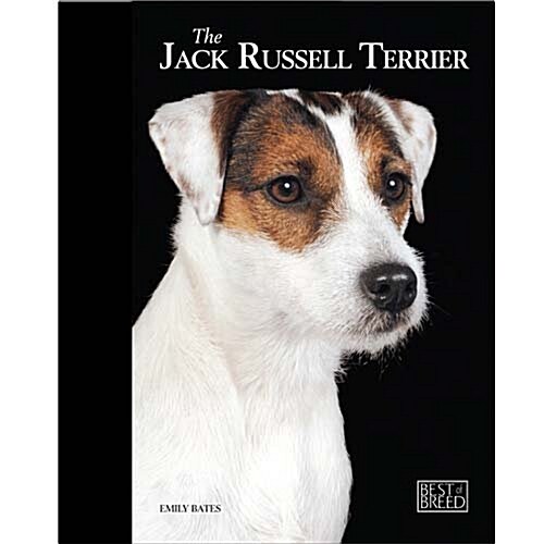 Jack Russell Terrier (Hardcover)
