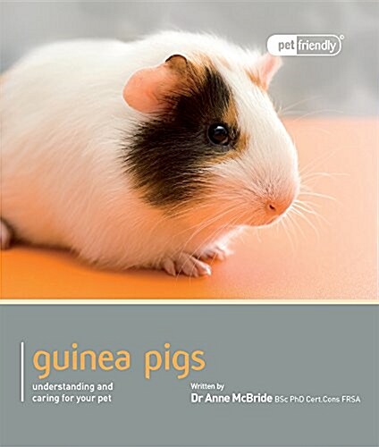Guinea Pig - Pet Friendly (Paperback)