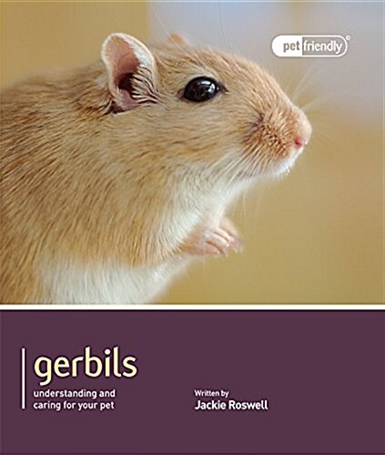 Gerbils - Pet Friendly (Paperback)