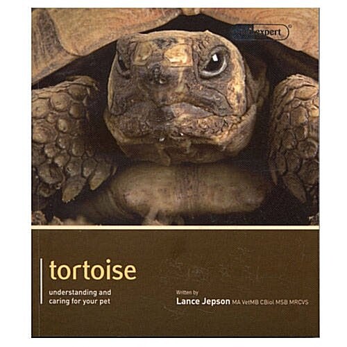 [중고] Tortoise - Pet Expert : Understanding and Caring for Your Pet (Paperback)