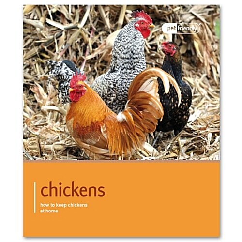 Chicken (Paperback)