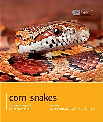 Corn Snake (Paperback)