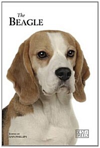 Beagle (Hardcover)