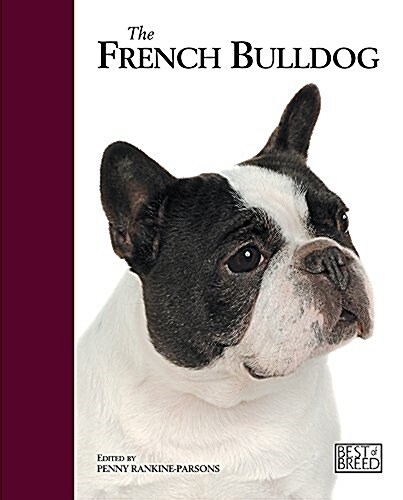French Bulldog : French Bulldog Best of Breed (Hardcover)
