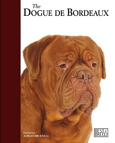 Dogue De Bordeaux : Dogue De Bordeaux - Best of Breed (Hardcover)