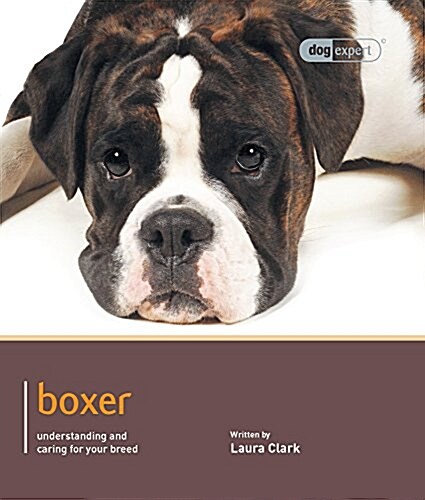 Boxer - Dog Expert (Paperback)