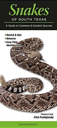 Snakes of South Texas: A Guide to Common & Notable Species (Other)