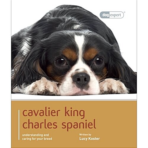 Cavalier King Charles Spaniel - Dog Expert (Paperback)
