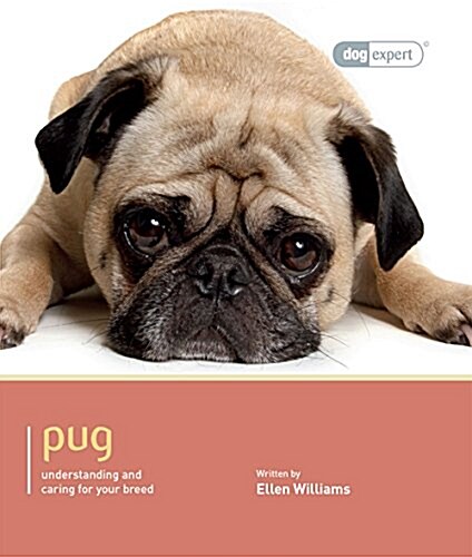 Pug- Dog Expert (Paperback)